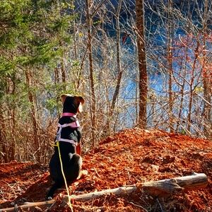 Meet your Posher, Margaret